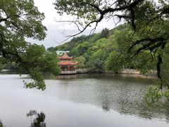 -潮镇老尾牛杂(环城西路店)