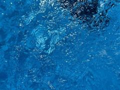 -陕西省游泳跳水馆