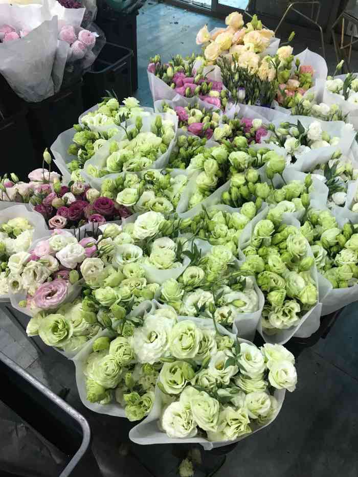 大溪沟聚金花市-"今天去公园散步赏花回家后 宝贝今天有点难.