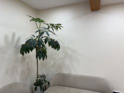 -HEYAN荷妍专业脱毛连锁机构