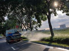 -光明小镇欢乐田园