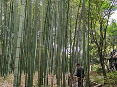 -汇龙潭