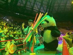 -俄罗斯国家大马戏团