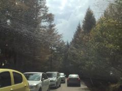 -芦芽山旅游度假区
