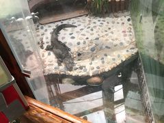 -上海大自然野生昆虫馆(东方明珠·爬宠昆虫探索中心)