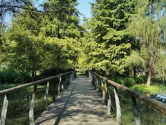 -长广溪湿地公园
