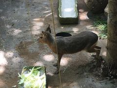 -呀诺达热带雨林
