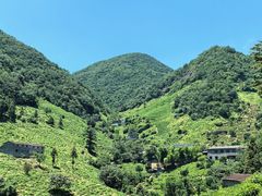 -东白山