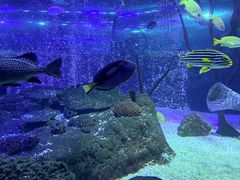 -沈阳海洋探索中心