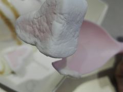桃心棉花糖-狐狸和向日葵(北京路店)