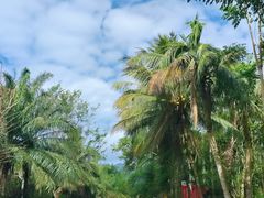 -七仙岭温泉国家森林公园