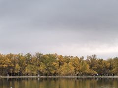 -金塔沙漠胡杨林景区