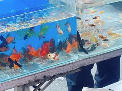 -华润万家(丹东宝山店)