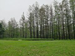 -顺峰山公园