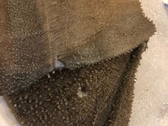 -红鼎坊·老成都火锅(新南门店)