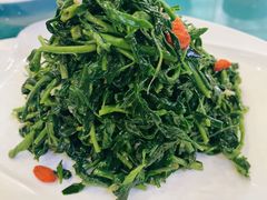 清香枸杞苗-国强手抓(北京西路店)