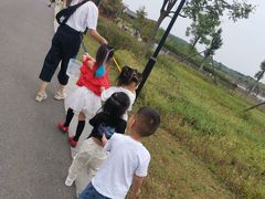 -梁子湖东篱老屋生态庄园