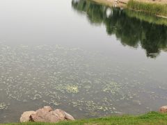 -丁香湖公园