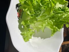 -杨记齐齐哈尔烤肉(五莲路店)