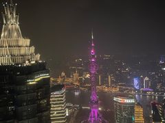 -上海柏悦酒店