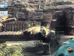 -石家庄市动物园