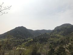 -北京鹫峰国家森林公园