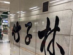 -竹子林(地铁站)