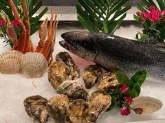 -Mr·Fish鱼鲜生海鲜放题(银泰in99店)