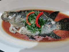 -宝燕壹号(徐汇店)