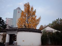 -青果巷历史文化街区