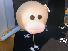 -KAKAO FRIENDS(弘大店)