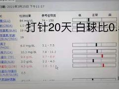 -关爱动物医院·心脏·中兽医·异宠(金牛路分院)