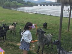 -南京银杏湖乐园