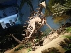 -自贡恐龙博物馆