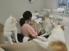 -怪兽屋·羊驼·猫咖·狗咖(俊华广场店)