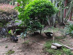 -桃园盛宴·岭南粤菜·手工茶点(南庄店)