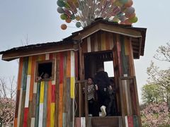 -秀丽东方