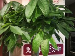 -裕和堂中医推拿艾灸(太古汇臻品店)