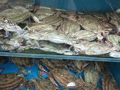 -小铜锣湾海鲜家常菜馆(河西店)