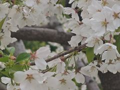 -南浦大桥长途旅游客运站