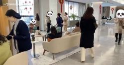 -郑州米兰柏羽集美医疗美容医院