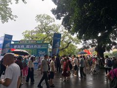 -荔湾湖公园