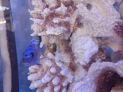 -茂业天地(华强北店)