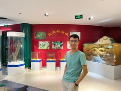 -上海昆虫博物馆