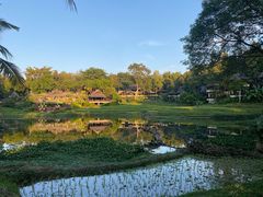 -四季酒店下午茶