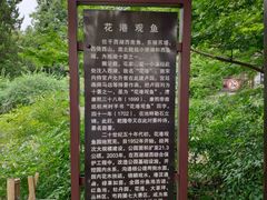 -西湖外事游船(花港观鱼码头)