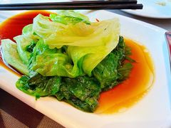 -采蝶轩