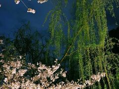 -杭州龙禧福朋喜来登酒店