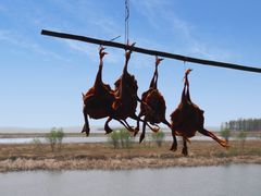 -苏州吴中太湖旅游区