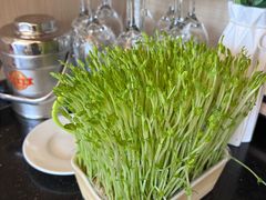 -海底捞火锅(长沙华创国际广场店)